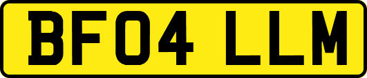 BF04LLM