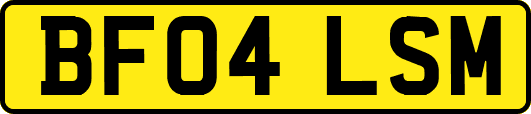 BF04LSM