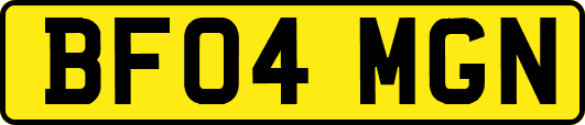 BF04MGN