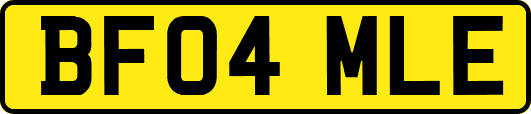 BF04MLE