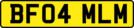 BF04MLM