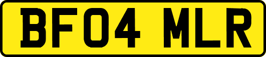 BF04MLR