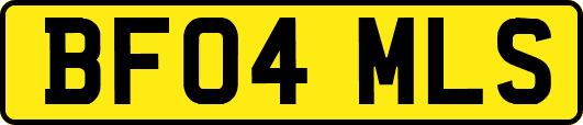 BF04MLS