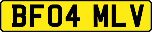 BF04MLV