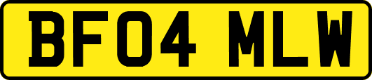 BF04MLW