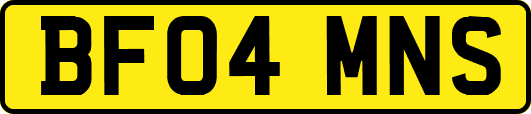 BF04MNS