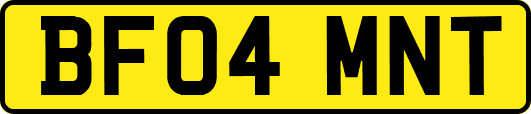 BF04MNT