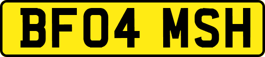 BF04MSH