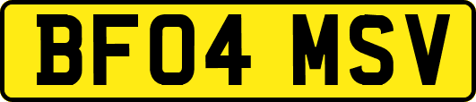 BF04MSV