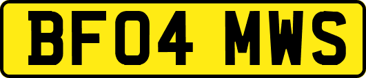 BF04MWS