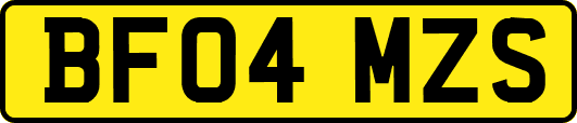 BF04MZS