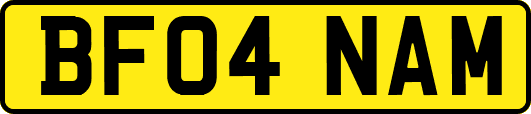 BF04NAM