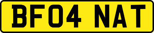 BF04NAT