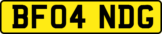 BF04NDG