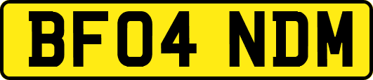 BF04NDM