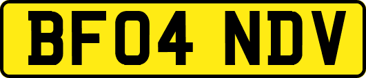 BF04NDV