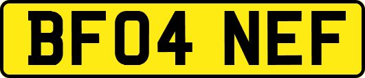 BF04NEF