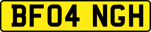 BF04NGH