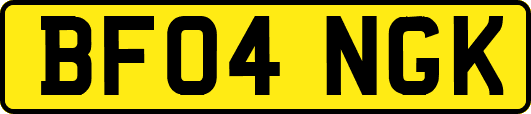 BF04NGK
