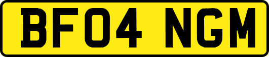 BF04NGM