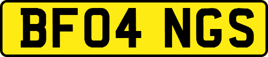 BF04NGS