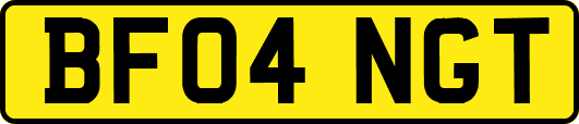 BF04NGT