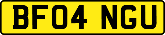 BF04NGU