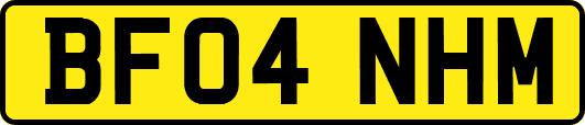 BF04NHM