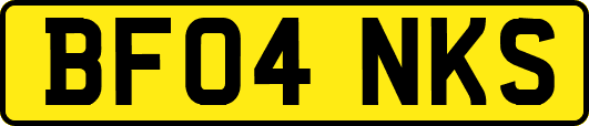 BF04NKS