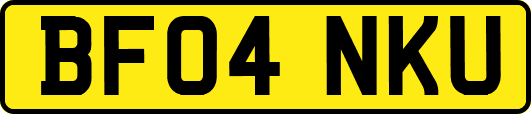 BF04NKU
