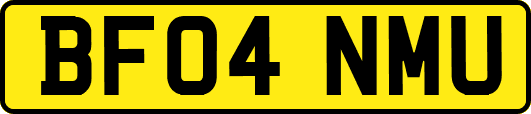 BF04NMU