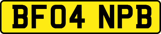 BF04NPB