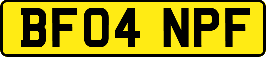 BF04NPF