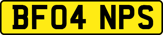 BF04NPS