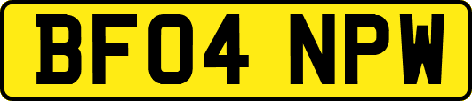 BF04NPW
