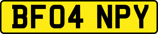 BF04NPY