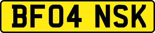 BF04NSK