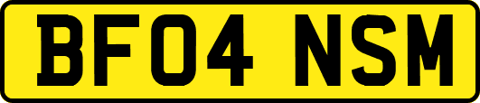 BF04NSM