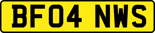 BF04NWS