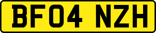 BF04NZH