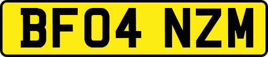 BF04NZM