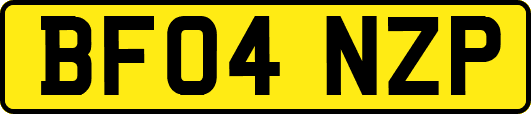 BF04NZP