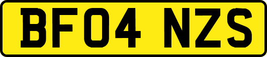 BF04NZS