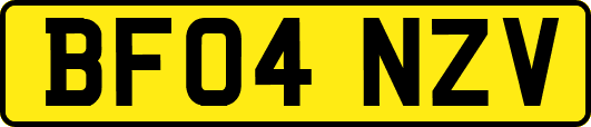 BF04NZV