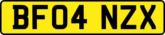 BF04NZX