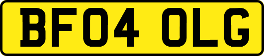 BF04OLG