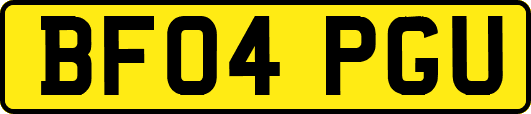 BF04PGU