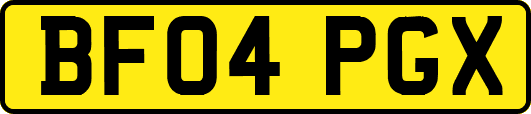 BF04PGX