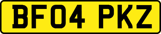 BF04PKZ