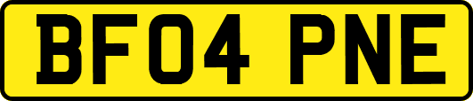 BF04PNE